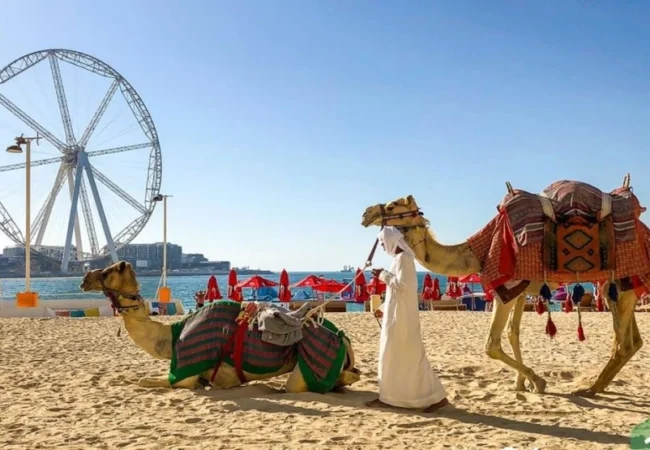 Camel ride on JBR beach Dubai - Desert Buggy Rental Dubai