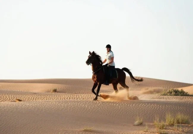 Horse riding experience in the Dubai desert - Desert Buggy Rental Dubai
