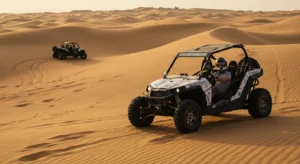 How to Guide Your Evening Safari Abu Dhabi Buggy Fun