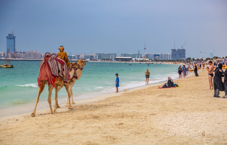Camel Ride Experience on JBR Beach