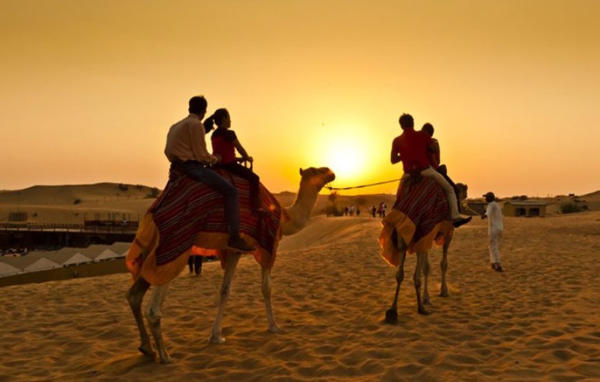 Camel Ride Experience in Dubai Desert