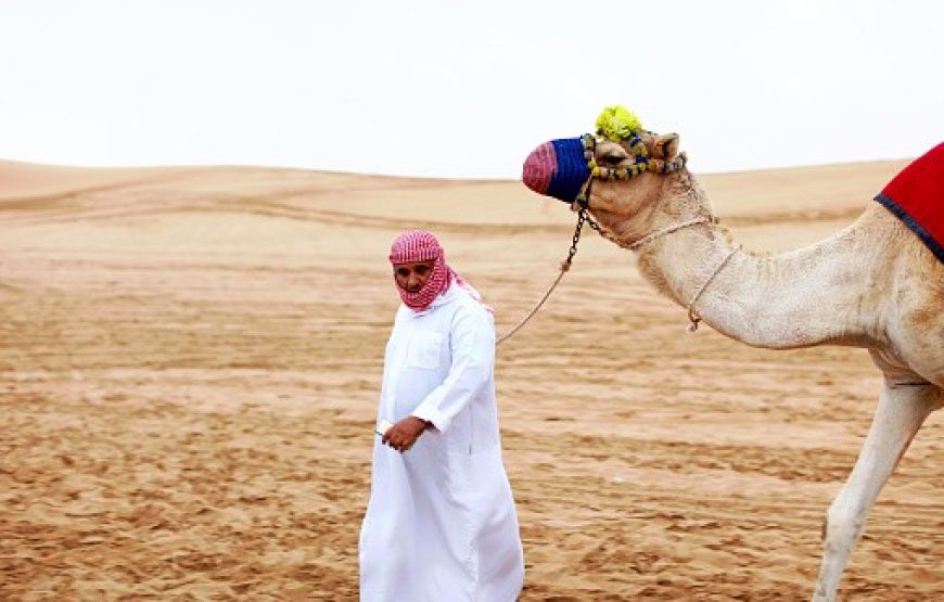 Camel Ride Experience in Dubai Desert