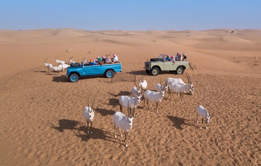 Dubai Heritage Land Rover Desert Safari with Traditional Dinner & Entertainment