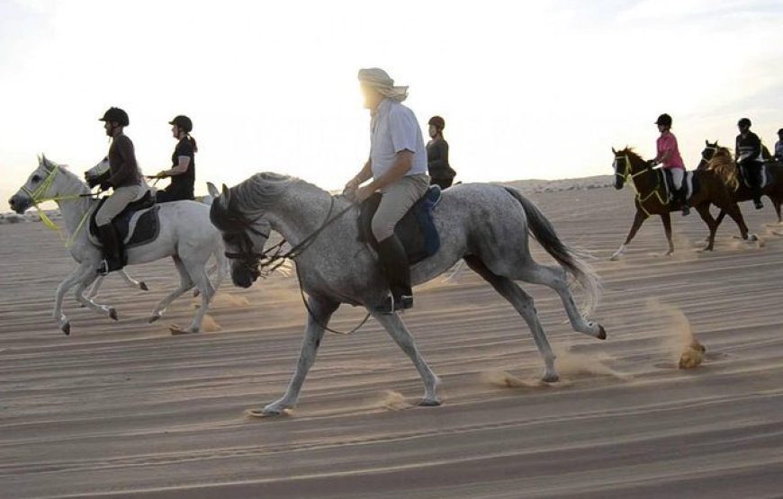 Horse Riding Experience in Dubai Desert