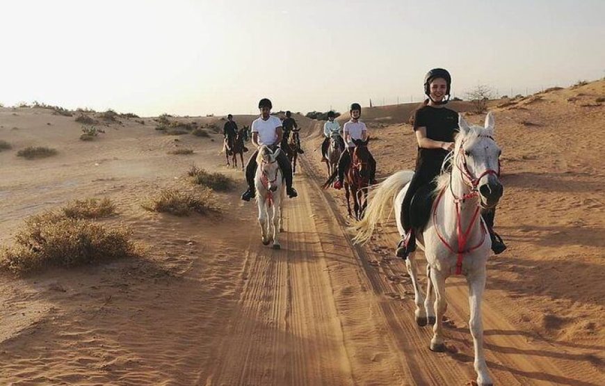 Horse Riding Experience in Dubai Desert