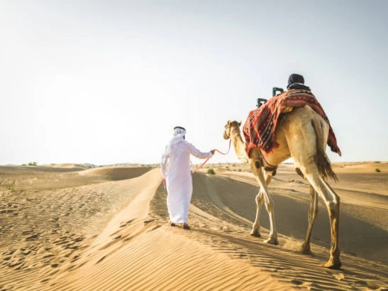 Çölde Deve Gezintisi 20 – 25 dk