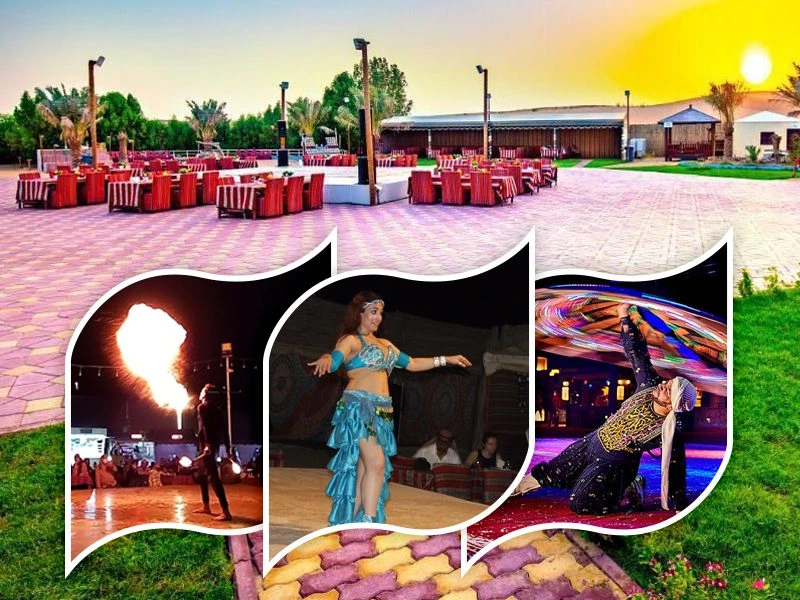 Premium Kamp (Barbekü Yemeği + Canlı Eğlence Gösterileri)