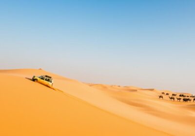 Dubai desert experiences