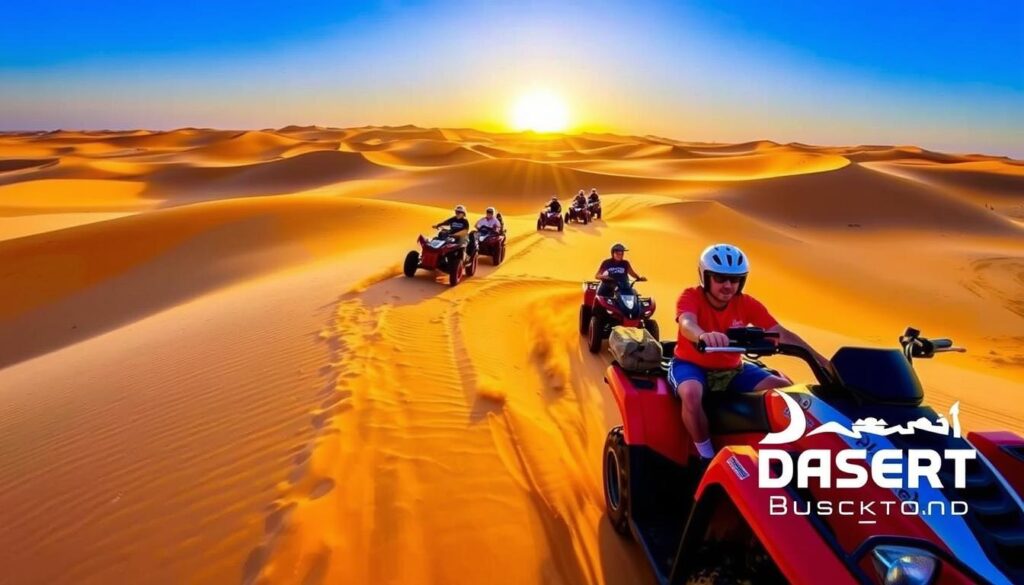 guided quad biking tours