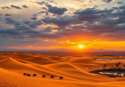 Al Barsha desert tours, community guide desert safari,