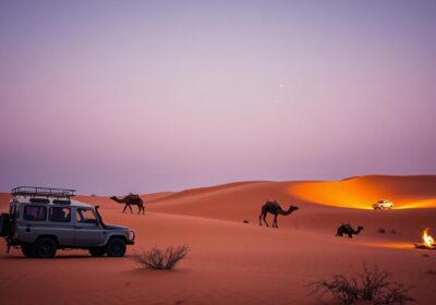 Winter evening safaris Dubai, Dubai travel winter, evening safari guide