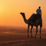 sunset camel ride dubai