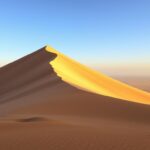 Is Dune 7 the highest dune in the world?