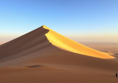 Is Dune 7 the highest dune in the world?