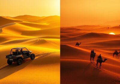 Safari dans le désert de Dubaï : matin ou soir