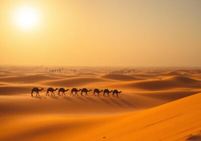 Best Time to Visit for Desert Safari in Abu Dhabi