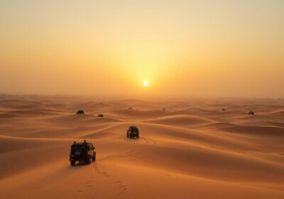 Morning Desert Safari: The Best Way to Start Your Day in Abu Dhabi