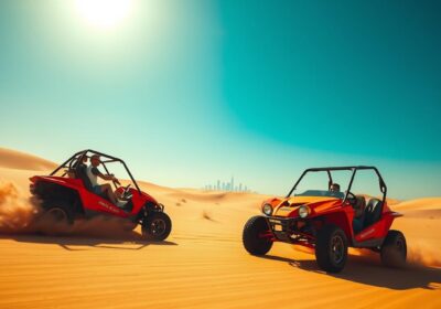 Dune Buggy + Safari Packages – Full Adventure