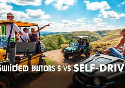 Guided Buggy Tours vs Self-Drive Experiences