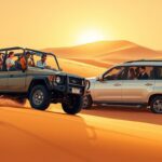 Стандартное сафари против VIP-сафари в Шардже